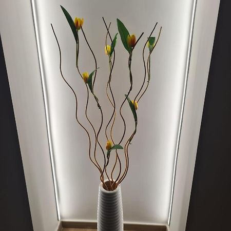 몰페타 Gdb House 아파트 외부 사진