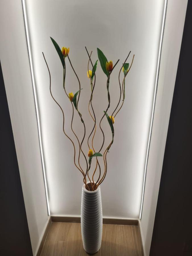 몰페타 Gdb House 아파트 외부 사진